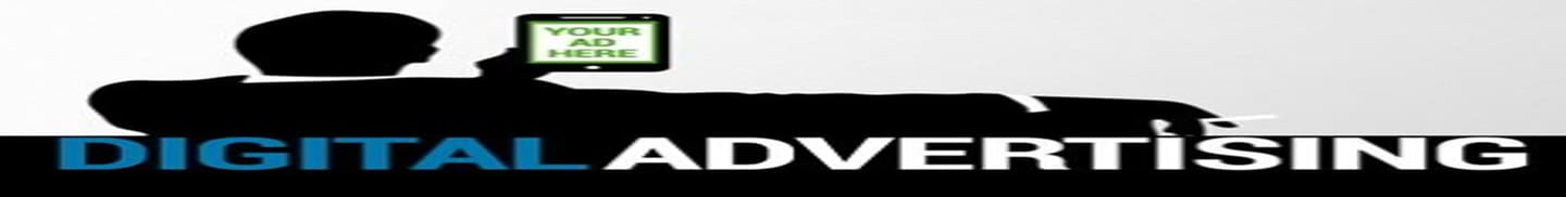 Digital Marketing and Ecommerce Consultant Delhi